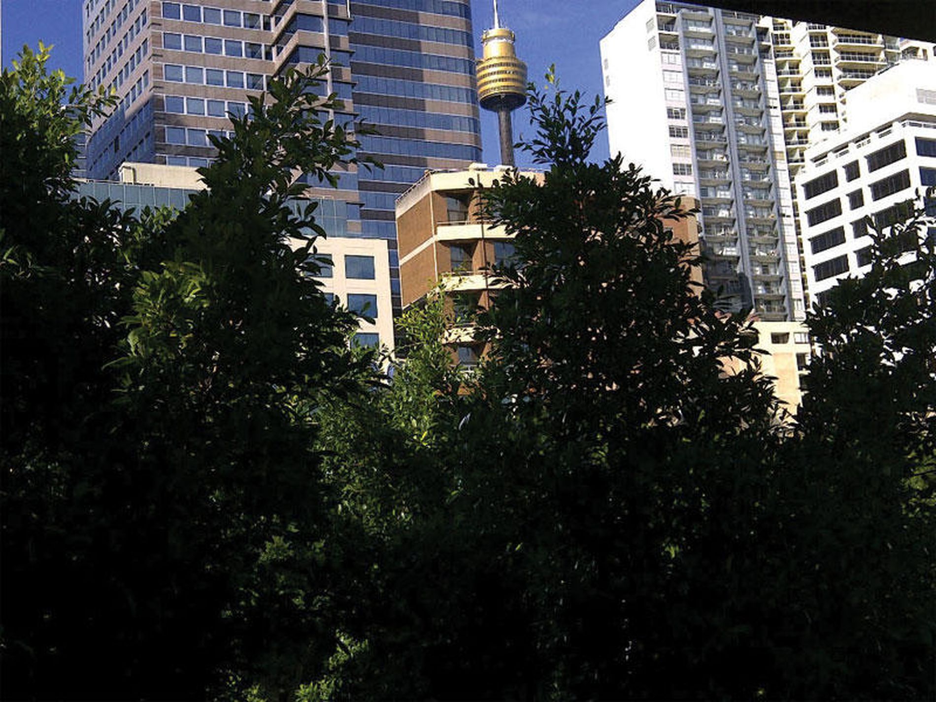 411 / 45 Shelley Street, Sydney