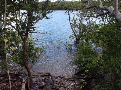 38 Slaughter Yard Road, Cooktown