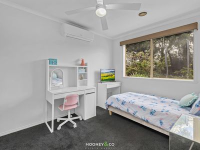 21 Hamilton Drive, Cranbourne North