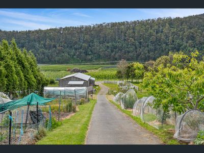 1557 Nicholls Rivulet Road, Nicholls Rivulet