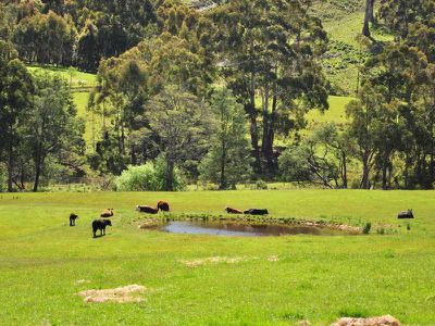 Lot 1 Woodbridge Hill Road, Gardners Bay
