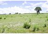 660 Kerrs Creek Road, Kerrs Creek