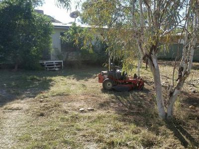 24 Gallop Road, Nullagine