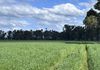 1241 Drysdale Road, Pranjip