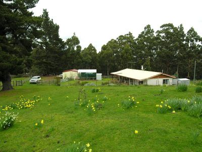 211 Middle Road, Pelverata