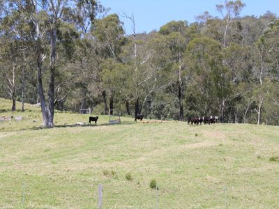 2 Smarts Rd., Kangaroo Valley