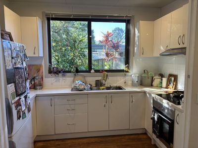 1A Hibiscus Place, Mullumbimby