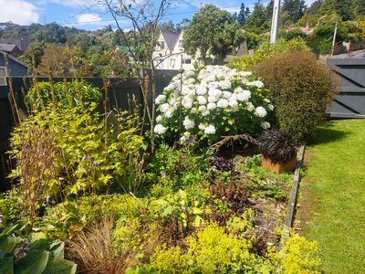 42 Fulton Road, Glenleith