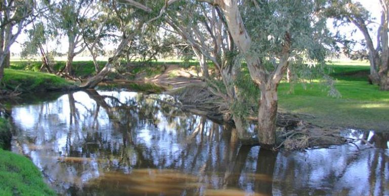 53 Lydiards Road, Euroa