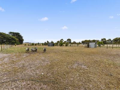 220 Banksia Road, Millicent