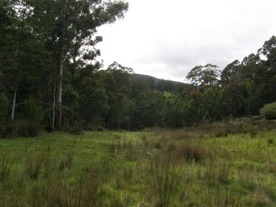 Nicholls Rivulet