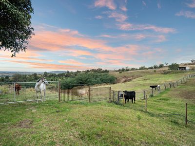 261 TALLEGALLA TWO TREE HILL ROAD, Marburg