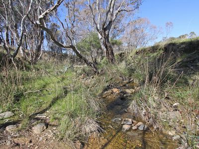Lot 1, Barry Lane, Tooborac
