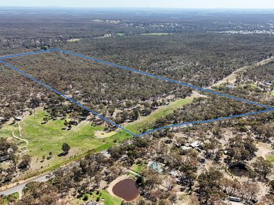 CA 37H Olympic Parade, Maiden Gully