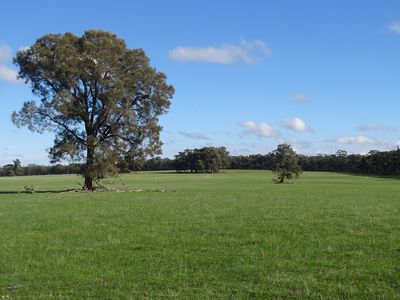 351 Tattersalls Lane, Moormbool West
