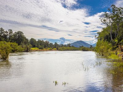 Mount George