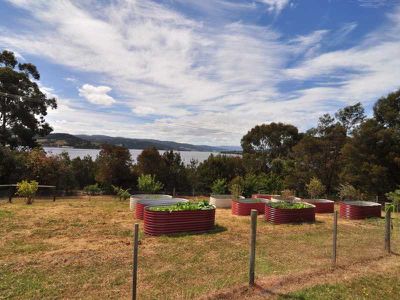 944 Cygnet Coast Road, Lower Wattle Grove