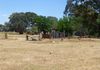1247 Davey Plains Road, Cargo