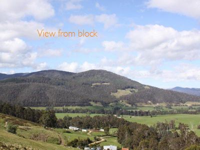 Glen Huon