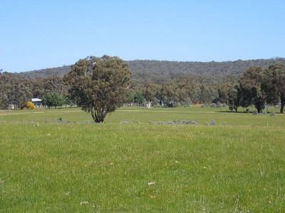 Lot 11, O'BRIEN COURT, Heathcote