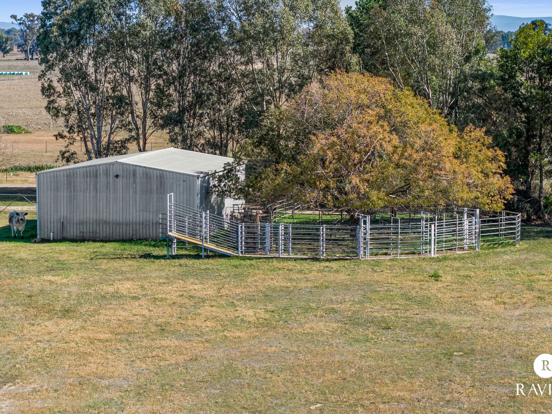 353 Lyons Road, Tarrawingee