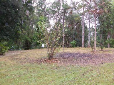 Maleny