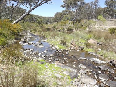 3 / Billabong Waters, Emmaville