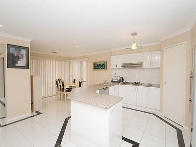 17 Sandpiper Street, Cairnlea