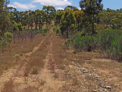 999 Burkes Flat - McIntyre Road, Mcintyre