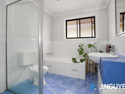 17 Foxlow Street, Canley Heights