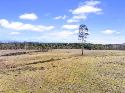 Lot 193 / 443 Back Creek Road, Mongarlowe