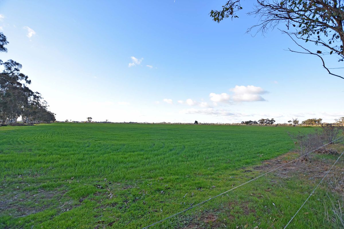 Cnr. Peppertree Lane & Gillies Road, Kyabram