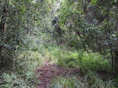 Lot 322 / 3 Lot 322/3 Upper Kangaroo River Road, Kangaroo Valley