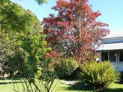 1735 Nimbin Road, Coffee Camp