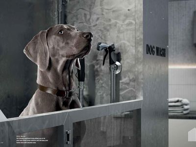 204B/72 Ascot Vale Road, Flemington