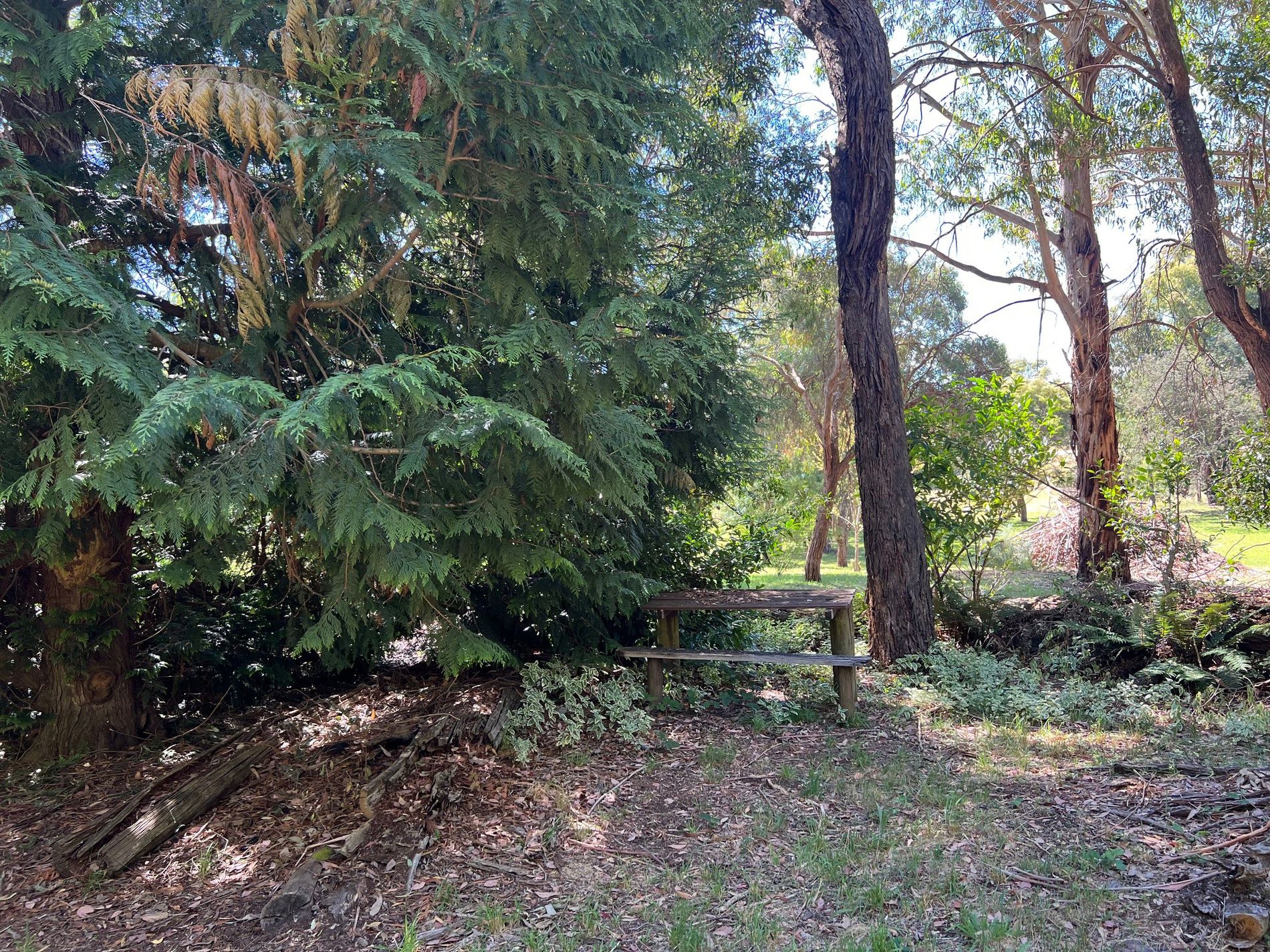 37 Tolmie-Mahaikah Road, Tolmie