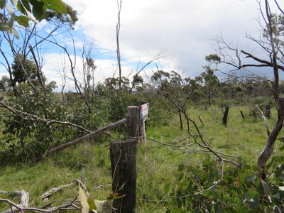 Lot 5, Old St Arnaud Road, Berrimal