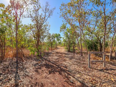 727 Reedbeds Road, Darwin River