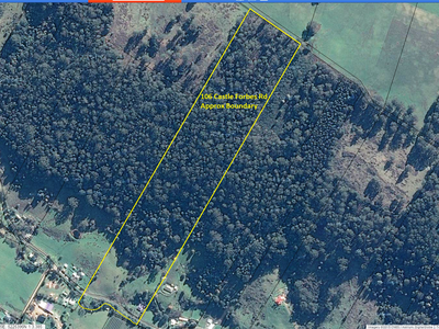 106 Castle Forbes Road, Castle Forbes Bay