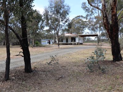 42 Ralstons Lane, Toolleen
