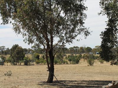 20 O'Brien Court, Heathcote