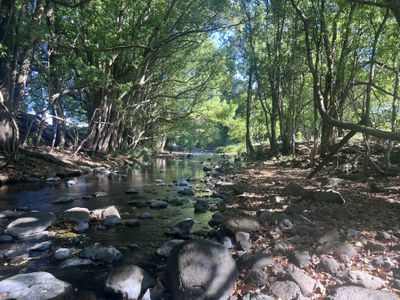 Nimbin