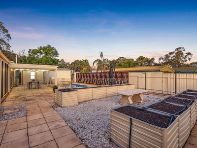 12 Delta Court, Salisbury Downs