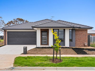 4 Portulaca Avenue, Manor Lakes