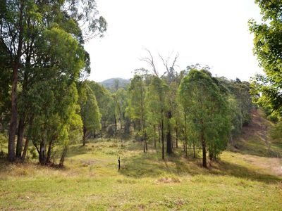 252 Simmonds Creek Road, Tawonga South