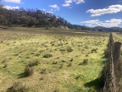 1950 FLAGGS ROAD, Gungal