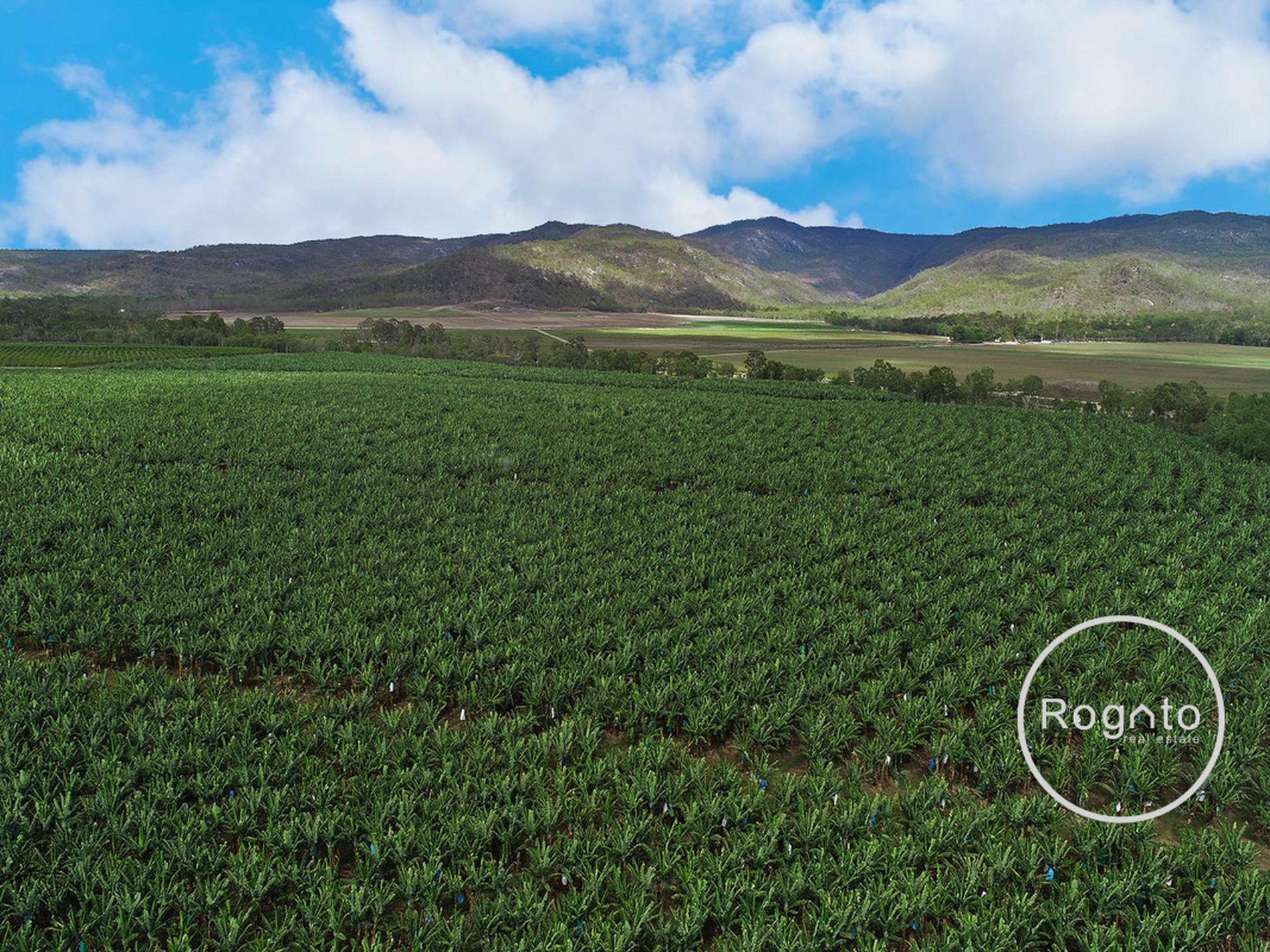 387 Fassio Road, Mareeba