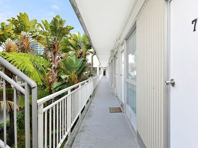 77 / 19-23 Forbes Street, Woolloomooloo