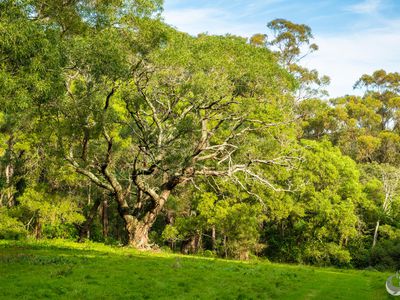 759 Old Highway, Narooma