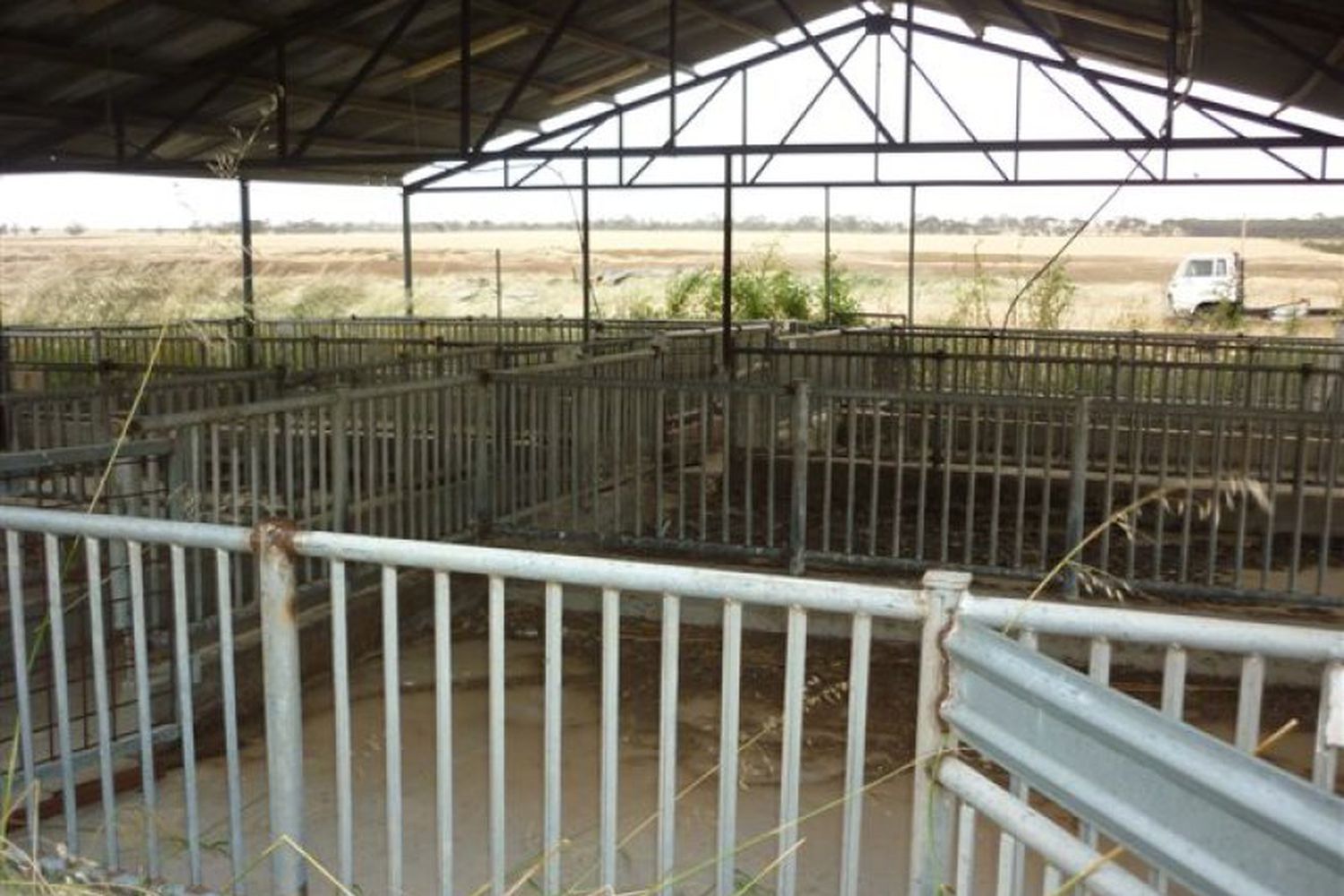 3341 Borung Highway, Donald